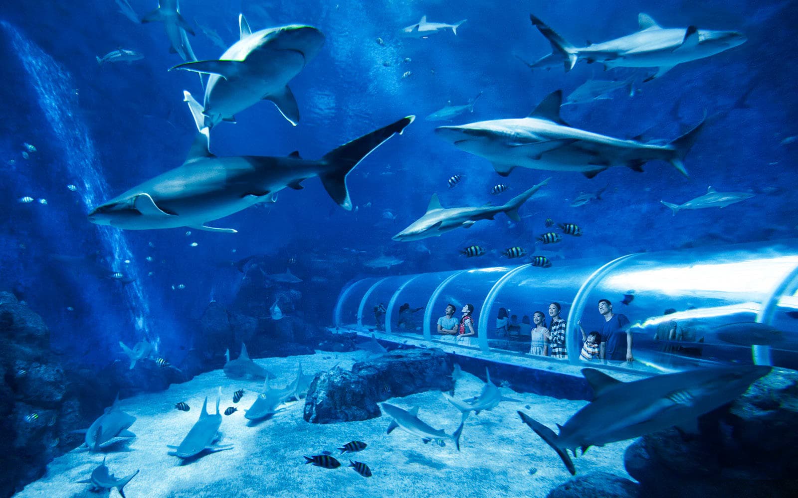 Singapore Family Holiday — Theme Parks and Cultural Trails