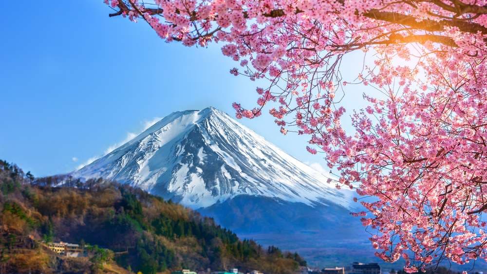 Japan Honeymoon — Tokyo, Hakone and Kyoto